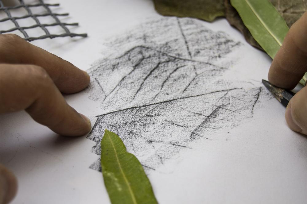 Workshop de Desenho – Técnica de Frottage