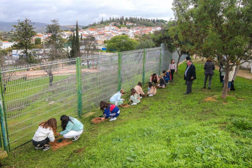 Celebração do dia da floresta autóctone com a plantação de árvores da região
