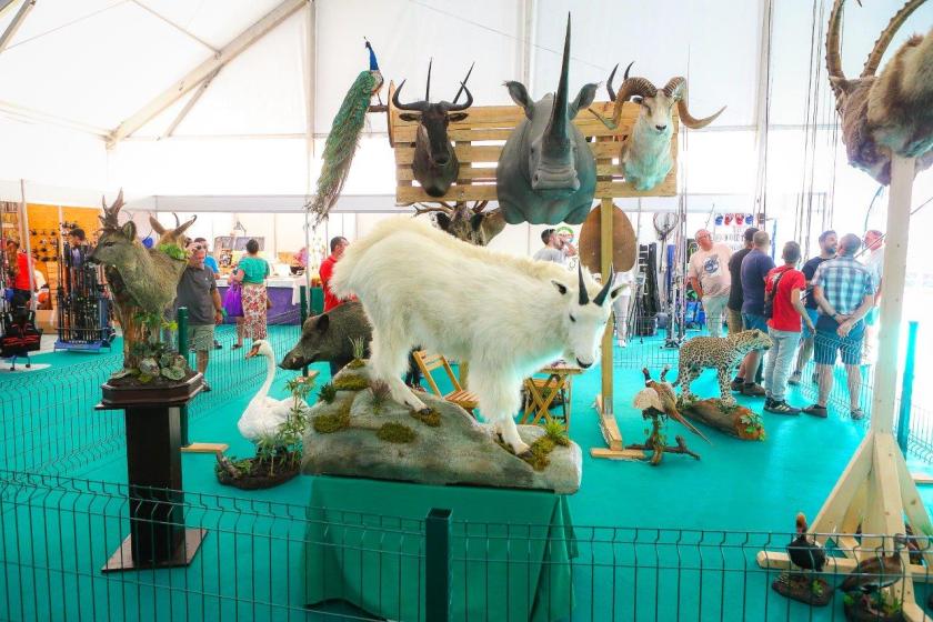 Feira de Caça, Pesca, Turismo e Natureza