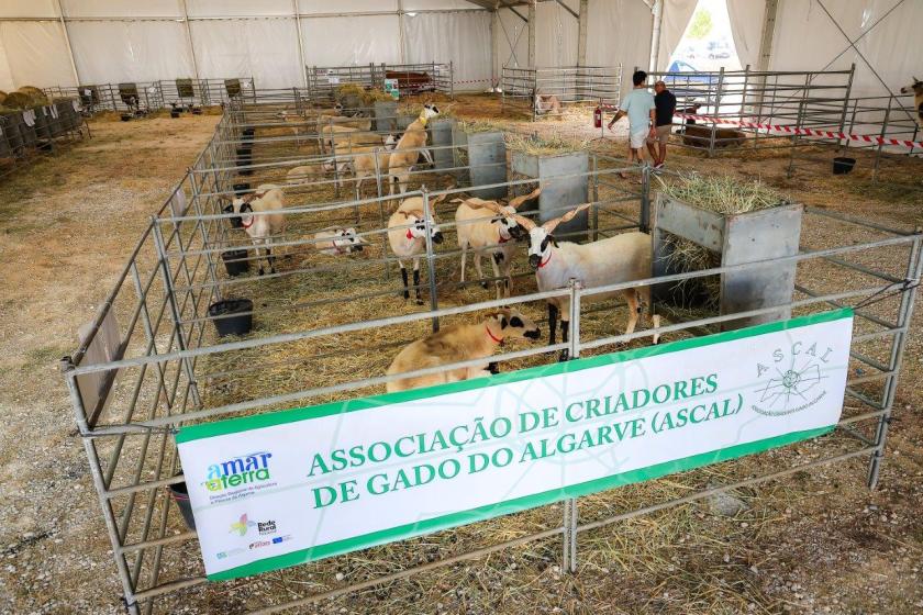 Feira de Caça, Pesca, Turismo e Natureza do Algarve