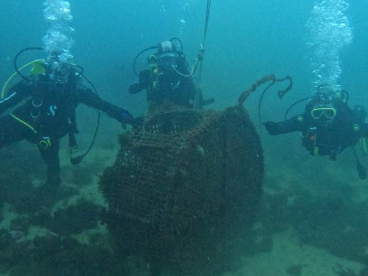 PROGRAMA &quot;VAMOS LIMPAR TERRA E MAR&quot;
