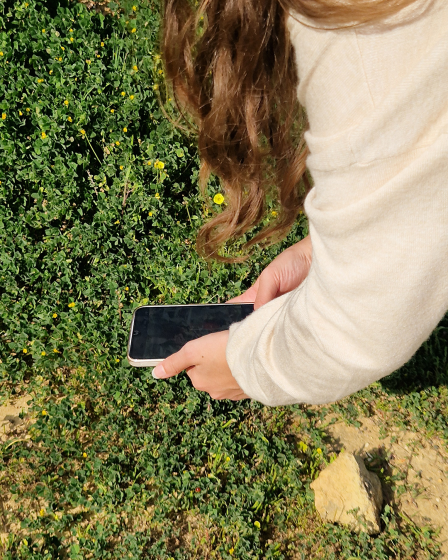 PROJETO DE MONITORIZAÇÃO DA FLORA  ALGARVENSIS ENCERRA ANO LETIVO 2025/2026