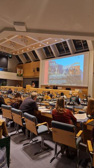 Algarvensis recebe certificado de Geoparque da UNESCO - ampliar imagem ou passar à próxima