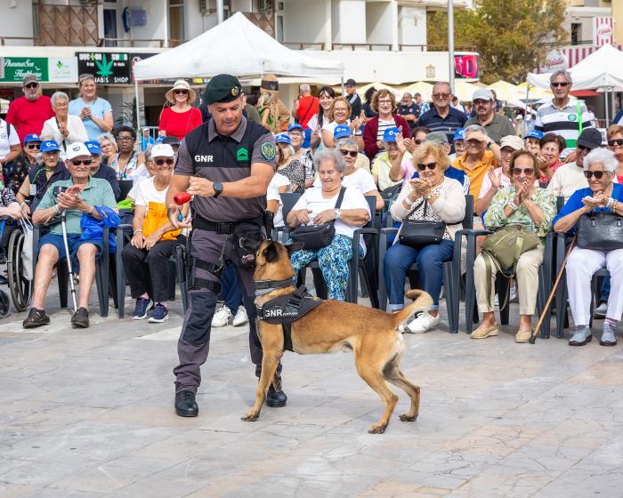 Dia Internacional do Idoso - ampliar imagem ou passar à próxima