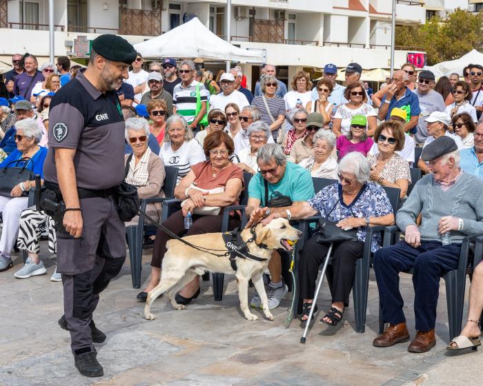 Dia Internacional do Idoso - ampliar imagem ou passar à próxima