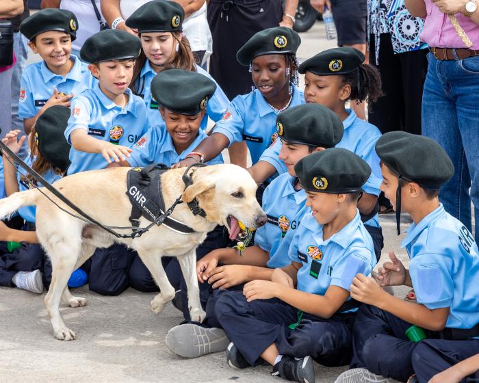 Dia Internacional do Idoso - ampliar imagem ou passar à próxima