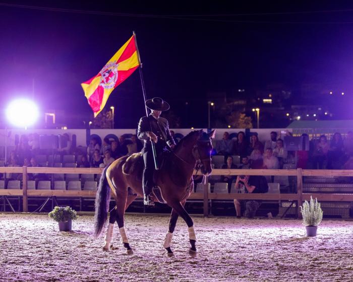 Feira Equestre - ampliar imagem ou passar à próxima