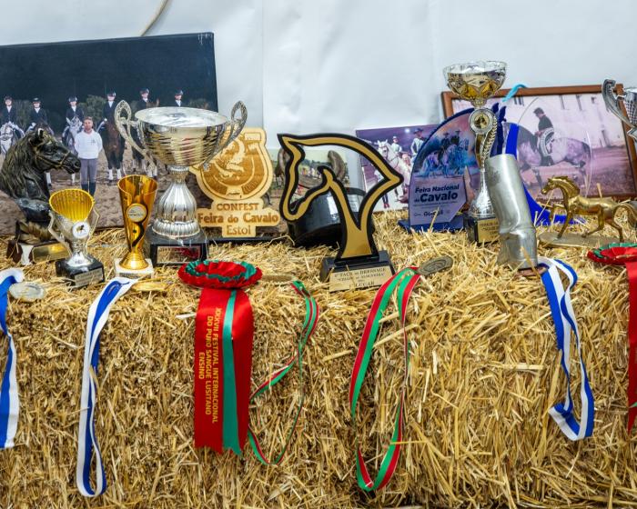 Feira Equestre - ampliar imagem ou passar à próxima