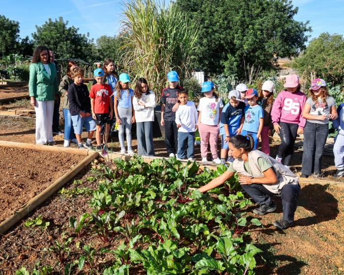 Crianças de Albufeira aprendem a proteger a natureza com bombas de sementes - ampliar imagem ou passar à próxima