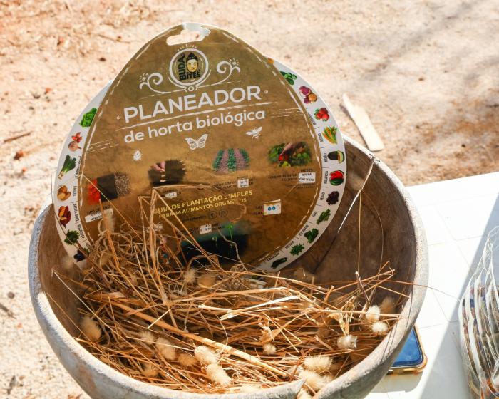 Crianças de Albufeira aprendem a proteger a natureza com bombas de sementes - ampliar imagem ou passar à próxima