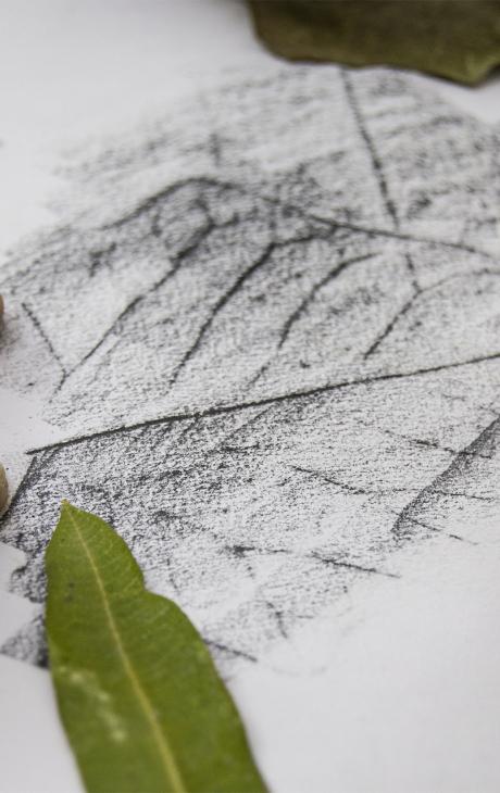 Workshop de Desenho – Técnica de Frottage