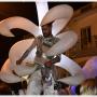 Noite Branca em Paderne