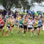 47ª edição do Cross Internacional das Amendoeiras em Flor