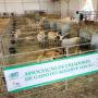 Feira de Caça, Pesca, Turismo e Natureza do Algarve
