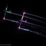 Albufeira Carpe Nox 2026