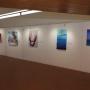 A 14.ª edição de “Cores e Formas dos Nossos Artistas”
