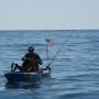 PORTUGAL SAGRA-SE CAMPEÃO DO MUNDO  DE PESCA EM KAYAK EM ALBUFEIRA