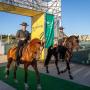 Feira Equestre