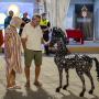 Feira Equestre