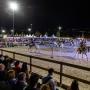 Feira Equestre