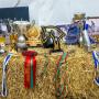 Feira Equestre