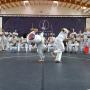 Campeonato Europeu de Capoeira