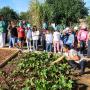Crianças de Albufeira aprendem a proteger a natureza com bombas de sementes